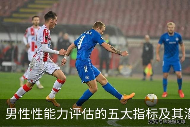 男性性能力评估的五大指标及其潜在影响因素